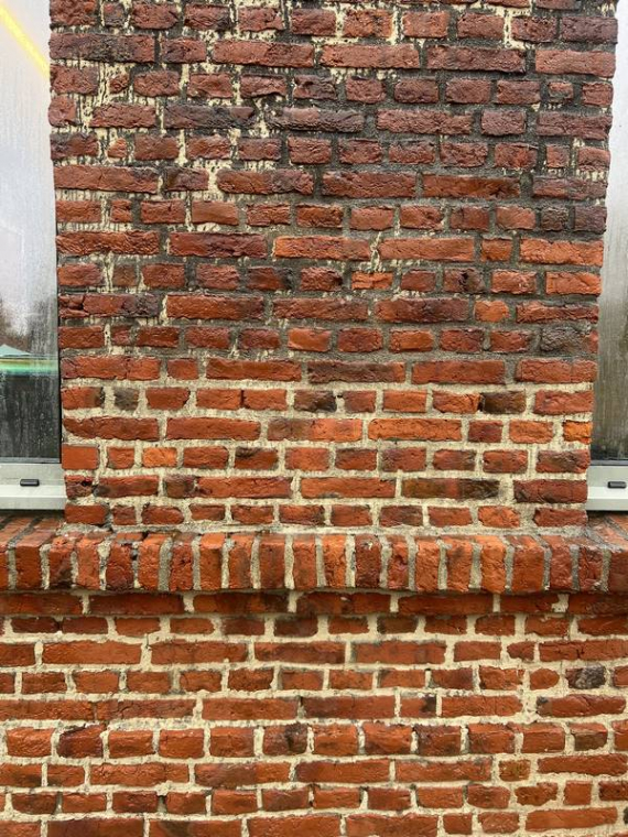 Professionnel pour le démoussage d'un toit ancien, Lille, ACTIV'FACADE